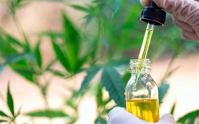 9 beneficios para la salud del aceite de CBD y efectos secundarios