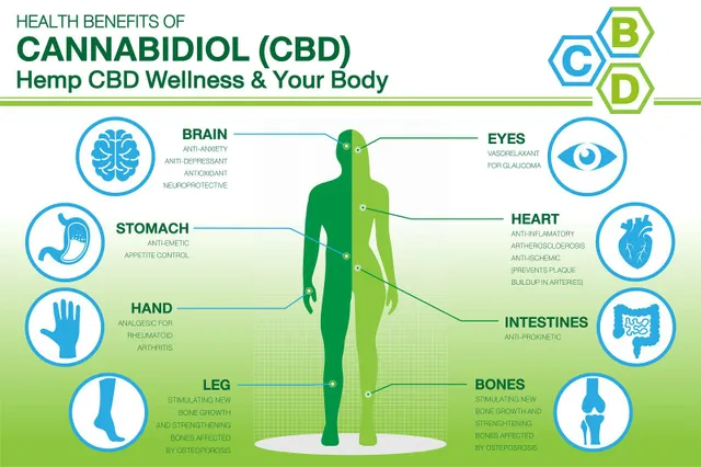 Los 5 principales beneficios para la salud del aceite de CBD y una mirada a l...