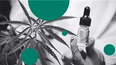 Por qué el CBD es el mejor bálsamo labial natural