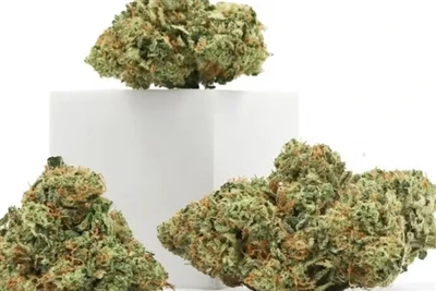 Por qué el CBD es el mejor bálsamo labial natural